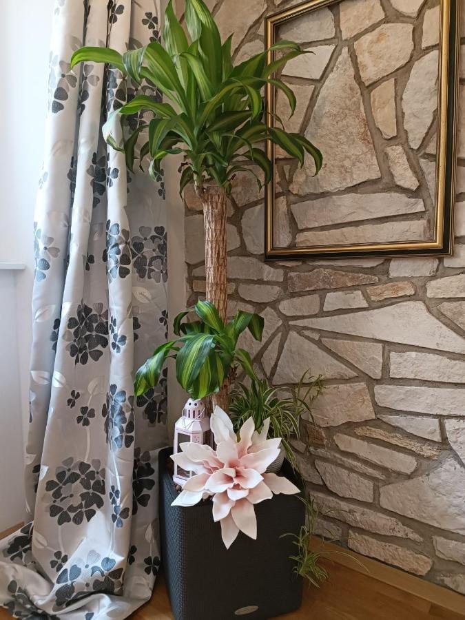 Apartmán Jmj Apartmaji Piran